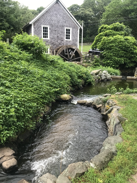 IMG_0465.JPG